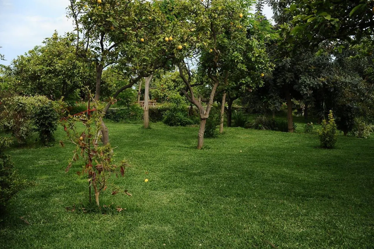 Tenuta Santatecla Guest House Acireale