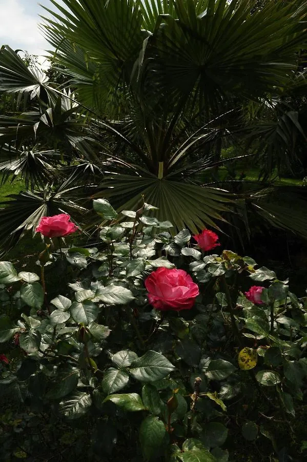 Country house Tenuta Santatecla Guest House Acireale